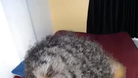 Snapshot of sweet_sherie chatting on September 2025 12:04:01 AM ellanah Tracie online show from September 2025 12:04:01 AM