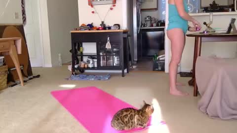 Heidi Brenner - Please check bio for schedule  FAQ online show from October 2025 01:19:01 PM