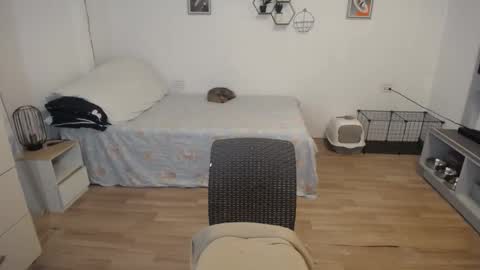 Snapshot of sweetcuteangel chatting on December 2024 08:44:02 AM angel 3 online show from December 2024 08:44:02 AM