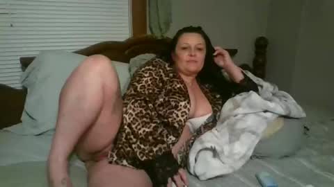 kandy online show from December 2025 03:37:02 AM