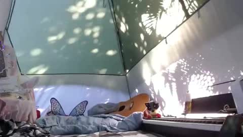 April online show from November 2025 04:16:02 PM