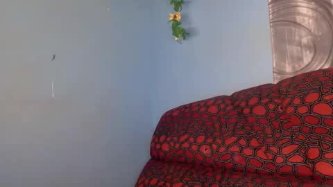 spicy online show from April 2026 08:04:02 AM