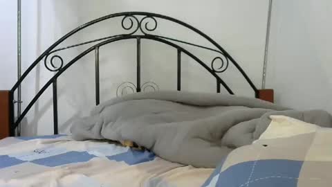 sweetvalariy online show from January 2025 11:59:01 AM