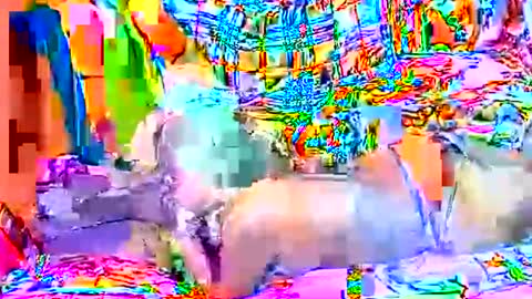 Sweetyummygirl online show from September 2025 08:33:01 PM