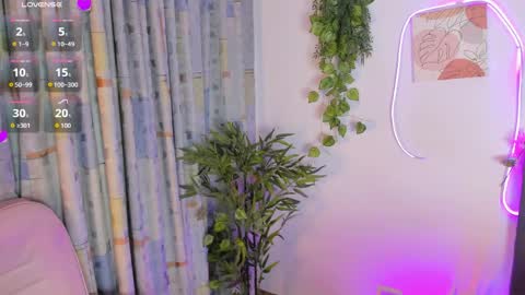    online show from April 2026 12:50:02 PM