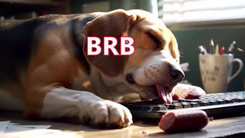 Simon online show from March 2026 11:32:02 PM