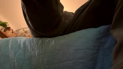 tRex online show from November 2025 11:21:02 PM