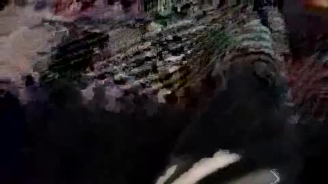 Canon online show from March 2026 06:11:01 PM