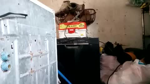 tadfn online show from January 2025 01:40:01 PM