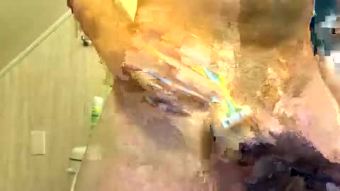 Snapshot of tailblazzer chatting on October 2025 10:49:01 AM tailblazzer online show from October 2025 10:49:01 AM