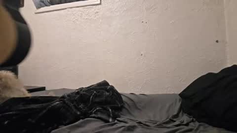 Talen James online show from April 2026 09:48:02 PM