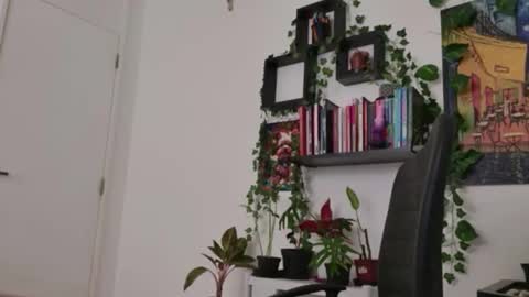 Tali Majid online show from February 2026 08:16:01 PM