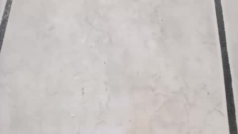 Snapshot of tall6feet7inch chatting on September 2025 08:16:02 AM tall6feet7inch online show from September 2025 08:16:02 AM