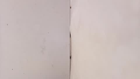 tall6feet7inch online show from March 2026 09:15:02 AM