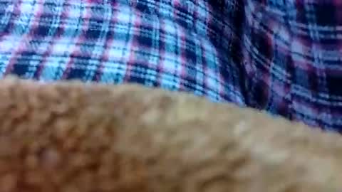 Snapshot of taniya_roy4628 chatting on February 2026 02:50:02 AM taniya_roy4628 online show from February 2026 02:50:02 AM