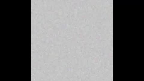 Tannor online show from November 2025 08:00:01 PM