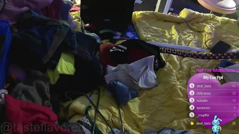 Snapshot of tasteflavored_femboy chatting on February 2025 02:43:02 PM Taste online show from February 2025 02:43:02 PM