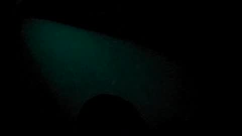 Snapshot of tatko874482 chatting on July 2026 07:42:01 PM Beliqnegar online show from July 2026 07:42:01 PM