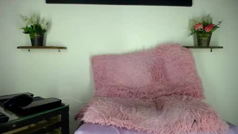 Noah online show from February 2026 07:50:02 PM