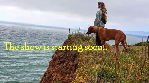 TATUM  ALL MY LINKS  online show from February 2026 12:00:02 AM