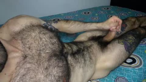 Taylor online show from February 2026 06:40:02 AM