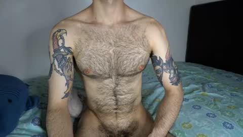 Taylor online show from February 2026 02:06:02 AM