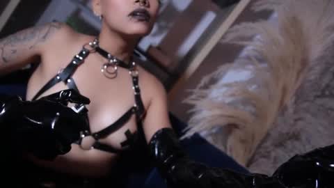 Taylor online show from October 2025 04:24:02 PM