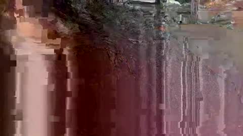 tbaexox online show from September 2025 03:41:02 AM