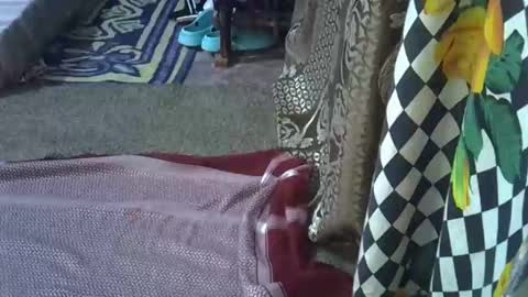 teabody1 online show from March 2026 08:12:02 PM