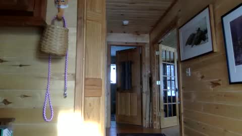 tec0vas online show from January 2026 06:54:01 PM