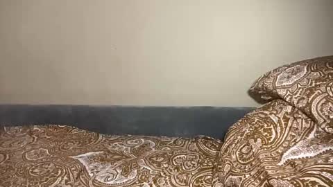 Ariana online show from March 2026 05:09:02 PM