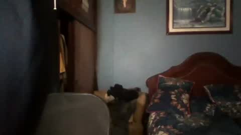 Snapshot of tender_eldelatienda chatting on July 2026 12:35:01 AM Fabio Canavaro online show from July 2026 12:35:01 AM