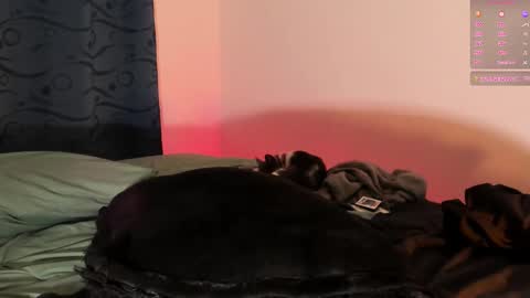 Snapshot of teo_369 chatting on March 2025 09:15:01 PM Teo online show from March 2025 09:15:01 PM