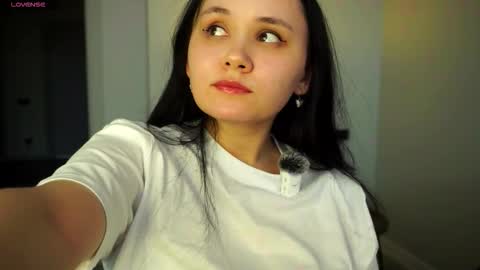 Snapshot of teressapillot chatting on February 2026 06:33:02 AM Liza online show from February 2026 06:33:02 AM