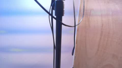 Terra Elowen online show from February 2026 11:22:01 AM