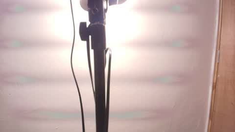 Terra Elowen online show from February 2026 11:31:02 AM