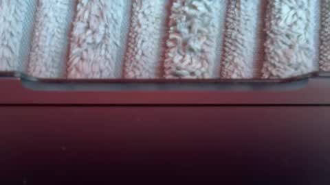 tetebumbum online show from August 2026 01:05:01 PM