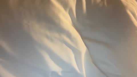 tevvdaren online show from March 2026 01:47:01 PM