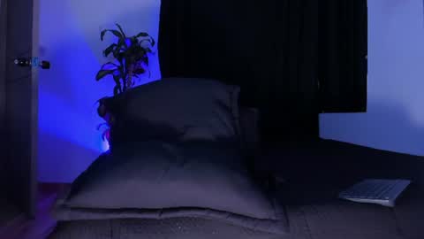 Snapshot of thadeo_king chatting on June 2026 01:17:01 AM thadeo_king online show from June 2026 01:17:01 AM