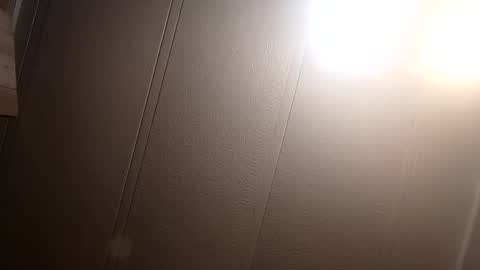 Snapshot of thatb1 chatting on February 2025 10:40:02 AM thatb1 online show from February 2025 10:40:02 AM