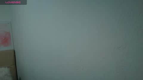   online show from February 2026 02:33:01 PM