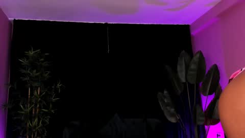 Aisha online show from January 2026 04:51:01 AM