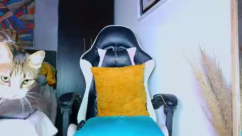 Snapshot of the_dog_lian chatting on July 2026 12:24:01 AM the dog lian online show from July 2026 12:24:01 AM