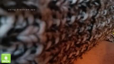 Snapshot of the_real_handjob_couple chatting on February 2026 11:49:01 AM The Real Hanjob Couple online show from February 2026 11:49:01 AM