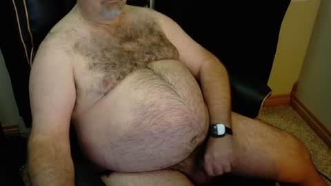 The Bear King online show from July 2026 12:19:02 AM