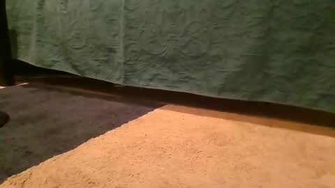 thedickhard1010 online show from April 2026 04:32:01 AM