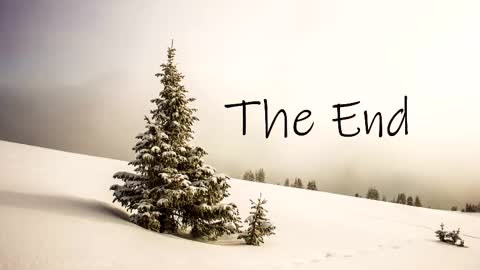 thedome372 online show from October 2025 08:18:01 PM