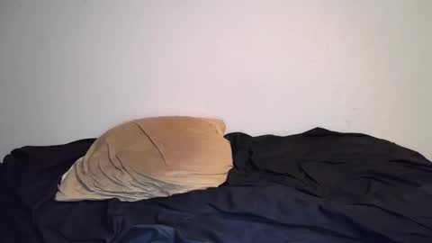 Snapshot of theetwohander chatting on February 2025 11:14:02 AM Theetwohander online show from February 2025 11:14:02 AM