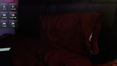 Snapshot of thefoxieprince chatting on December 2025 04:18:02 AM thefoxieprince online show from December 2025 04:18:02 AM