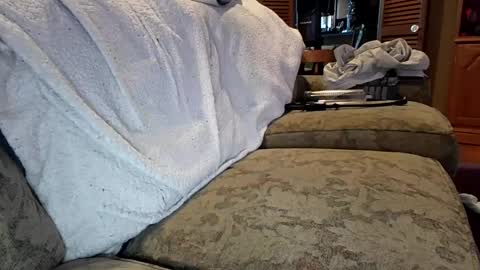 theicecreamguru online show from October 2025 07:55:02 PM